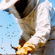 Illustration for article titled Get Paid to Be a Beekeeper
